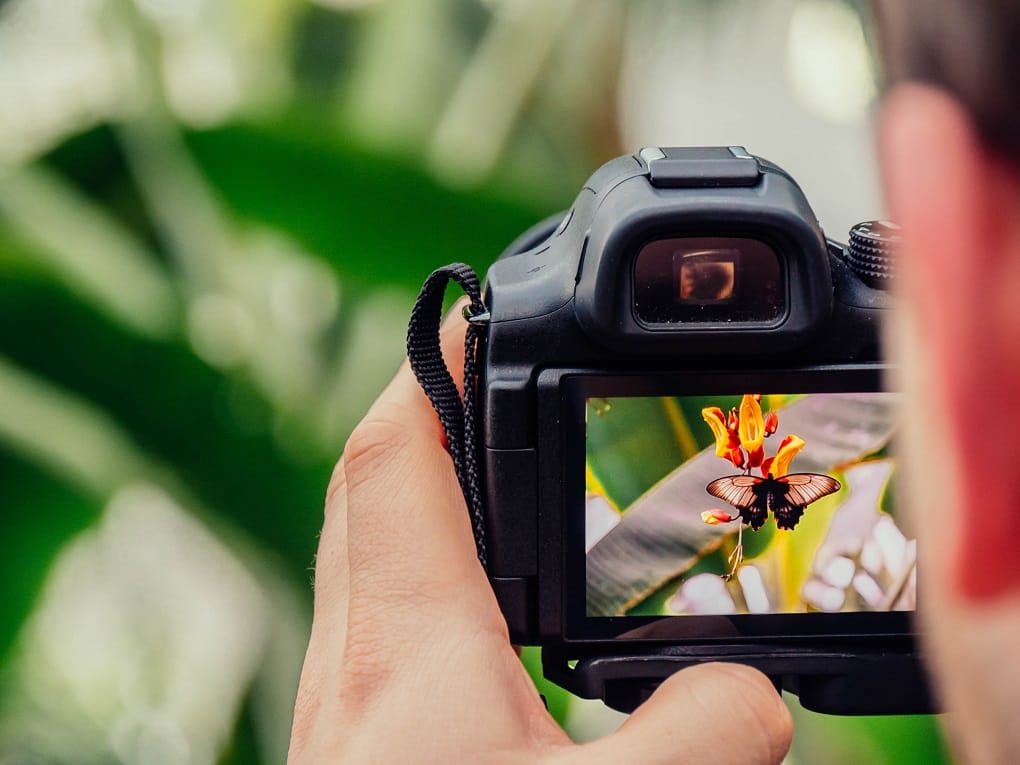 mengenal teknik fotografi